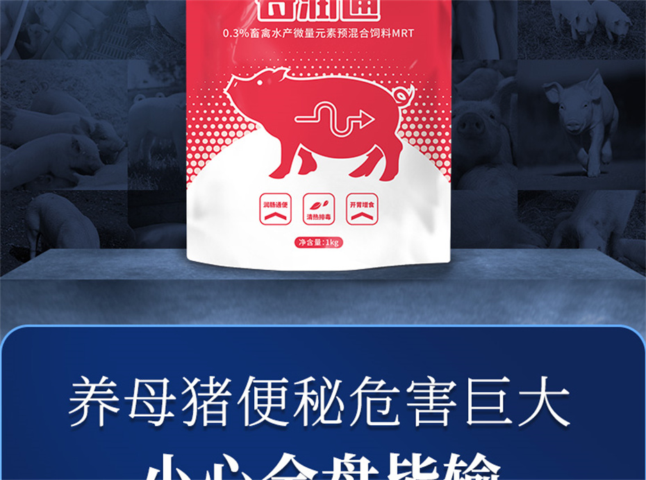 pp����ģ���������������������Ӽ�ĸ��ͨ��Ʒ����