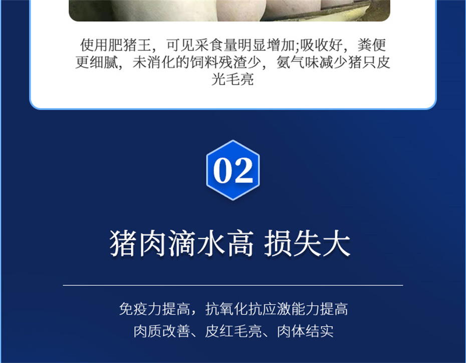 pp����ģ���������������������Ӽ���������Ʒ����