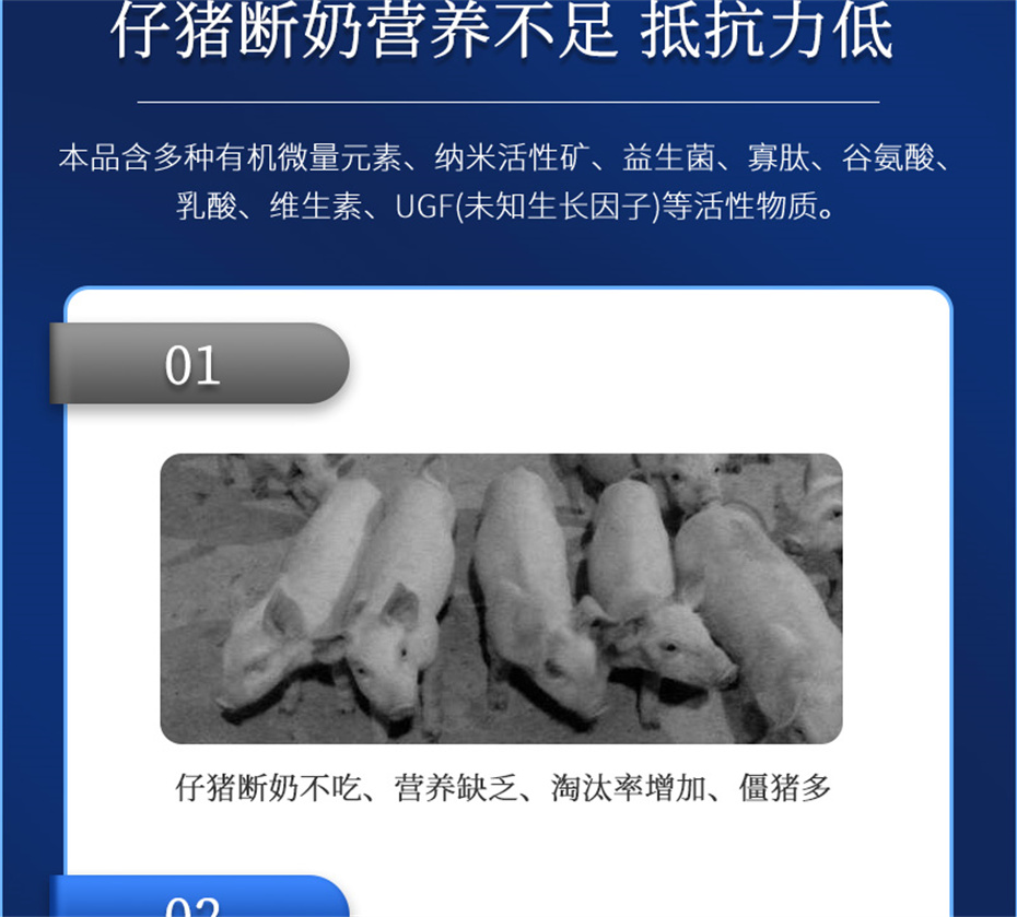 pp����ģ���������������������Ӽ�������������Ʒ����