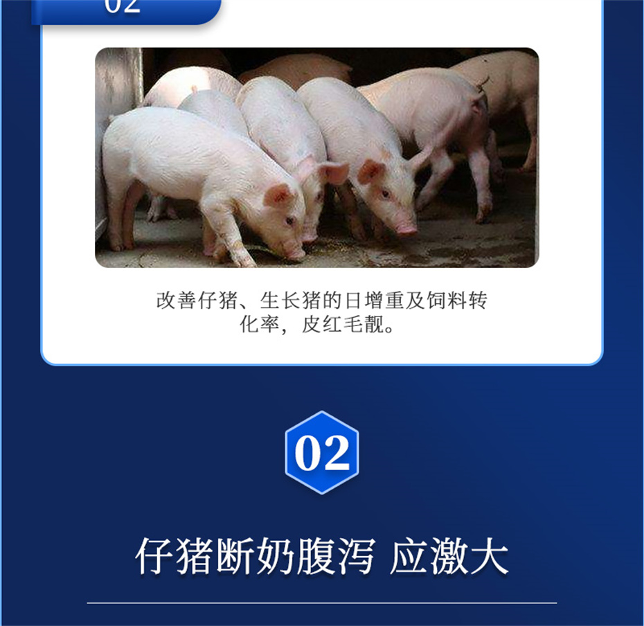 pp����ģ���������������������Ӽ�������������Ʒ����