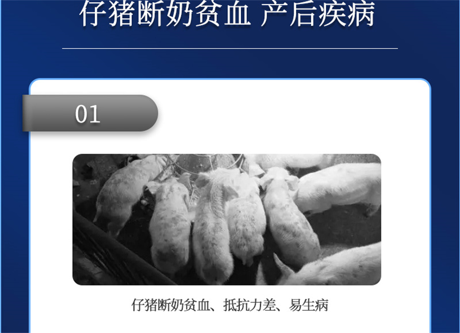 pp����ģ���������������������Ӽ�������������Ʒ����