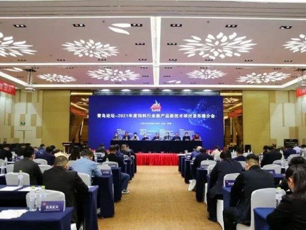 ������̳�ֳ���Ƭ