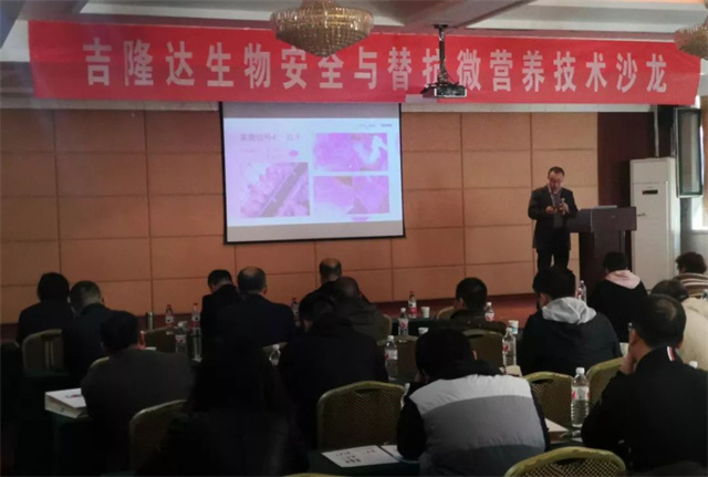 ���ﰲȫ���濹΢Ӫ������ɳ��