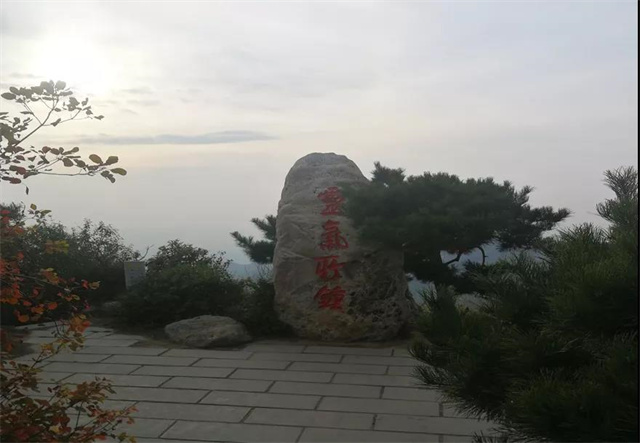 ���ﰲȫ���濹΢Ӫ������ɳ��