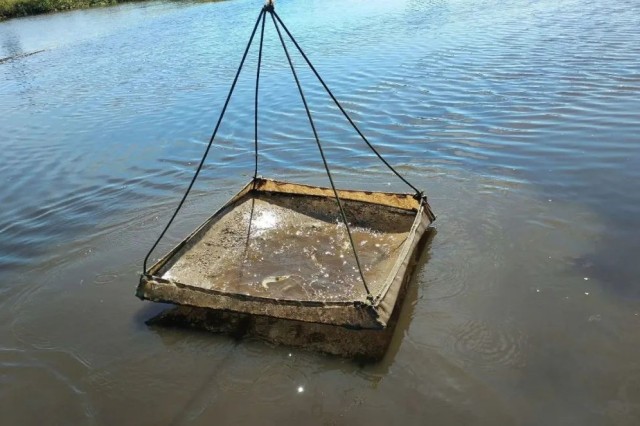 ��Ϻ�����ʱ��