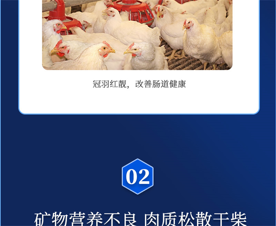 pp����ģ���������������������Ӽ����ﱦ��Ʒ����