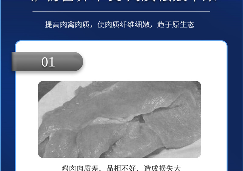 pp����ģ���������������������Ӽ����ﱦ��Ʒ����