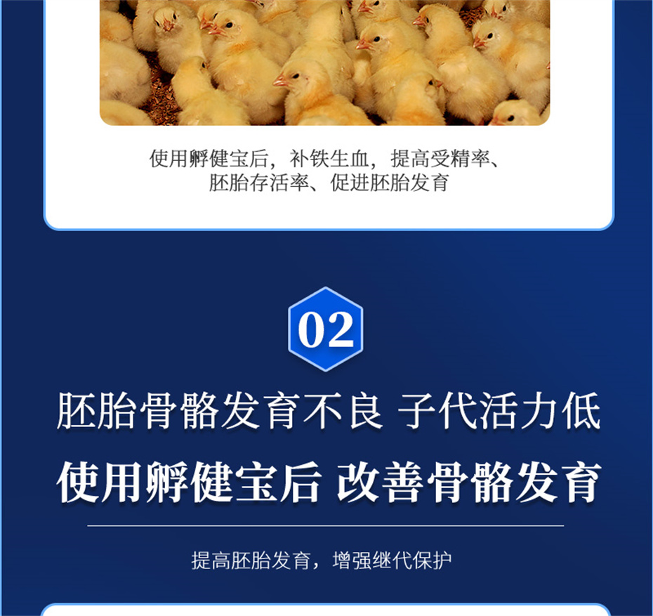 pp����ģ���������������������Ӽ���������Ʒ����