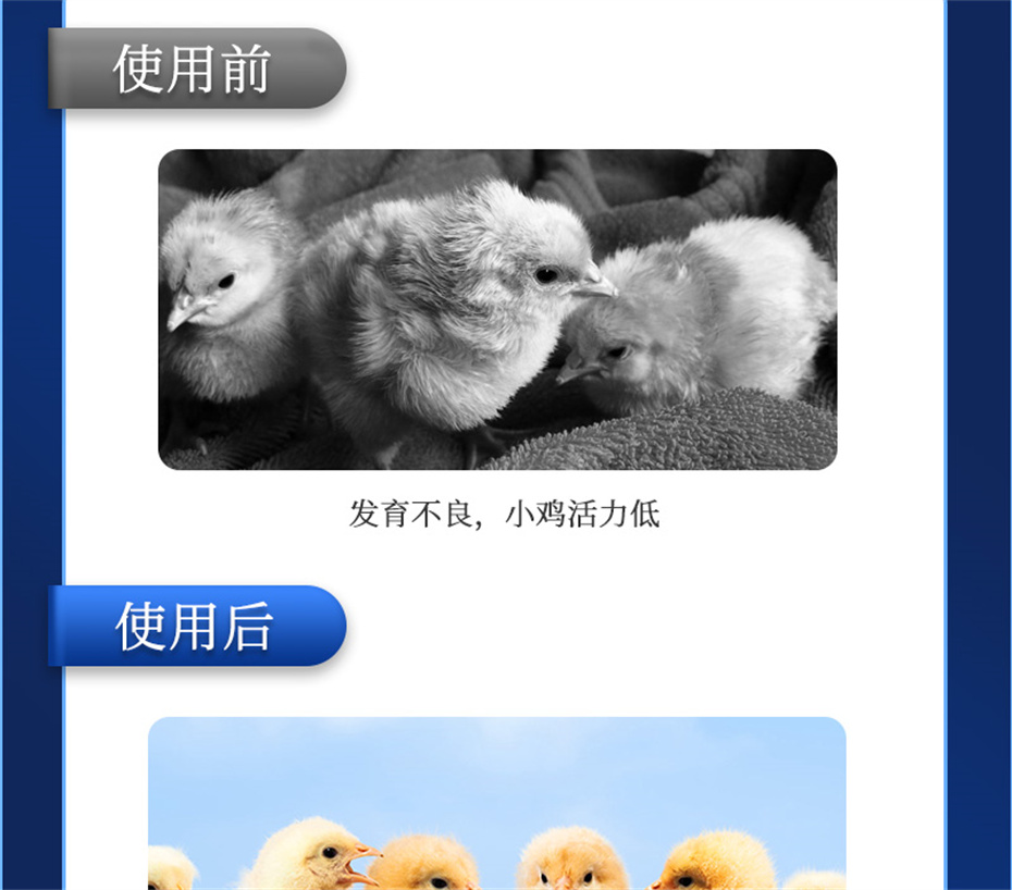 pp����ģ���������������������Ӽ���������Ʒ����