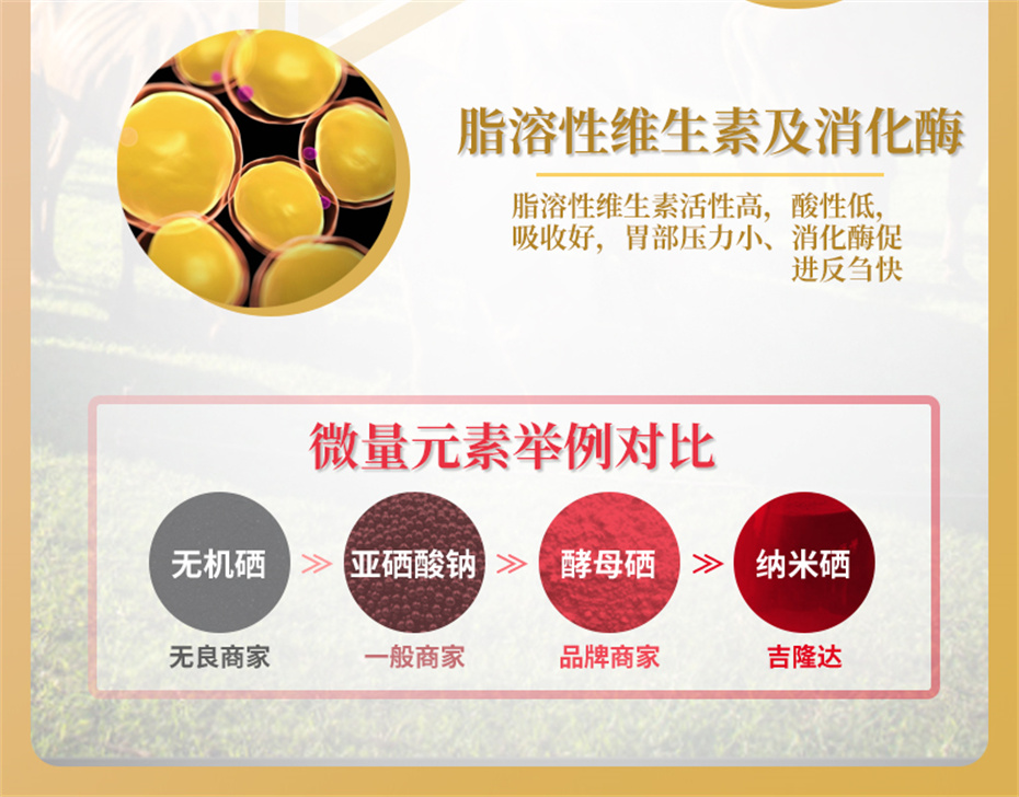 pp����ģ������������ţ���������Ӽ�ţ��׳������Ʒ����