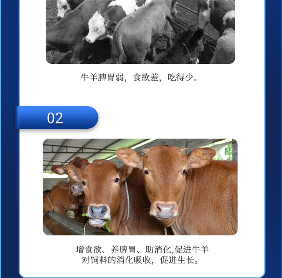 pp����ģ������������ţ���������Ӽ�ţ��Ԫ˧��Ʒ����