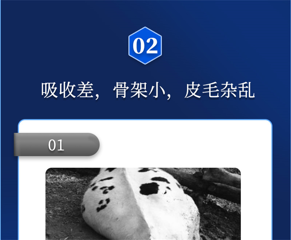 pp����ģ������������ţ���������Ӽ�ţ��Ԫ˧��Ʒ����