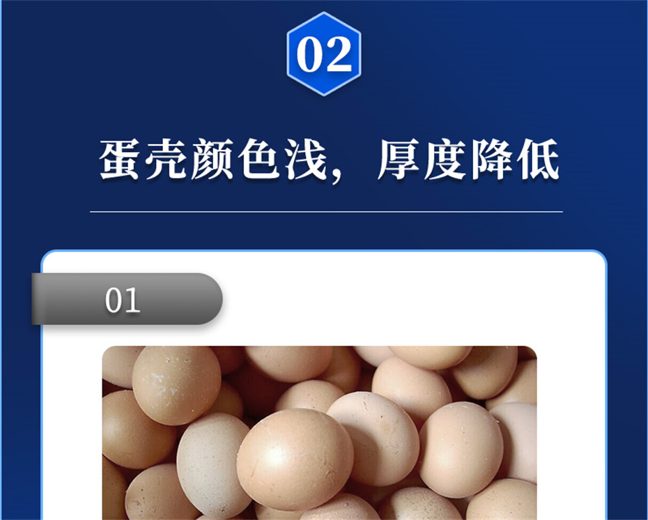 pp����ģ���������������������Ӽ�ǿ�Ǳ���Ʒ����