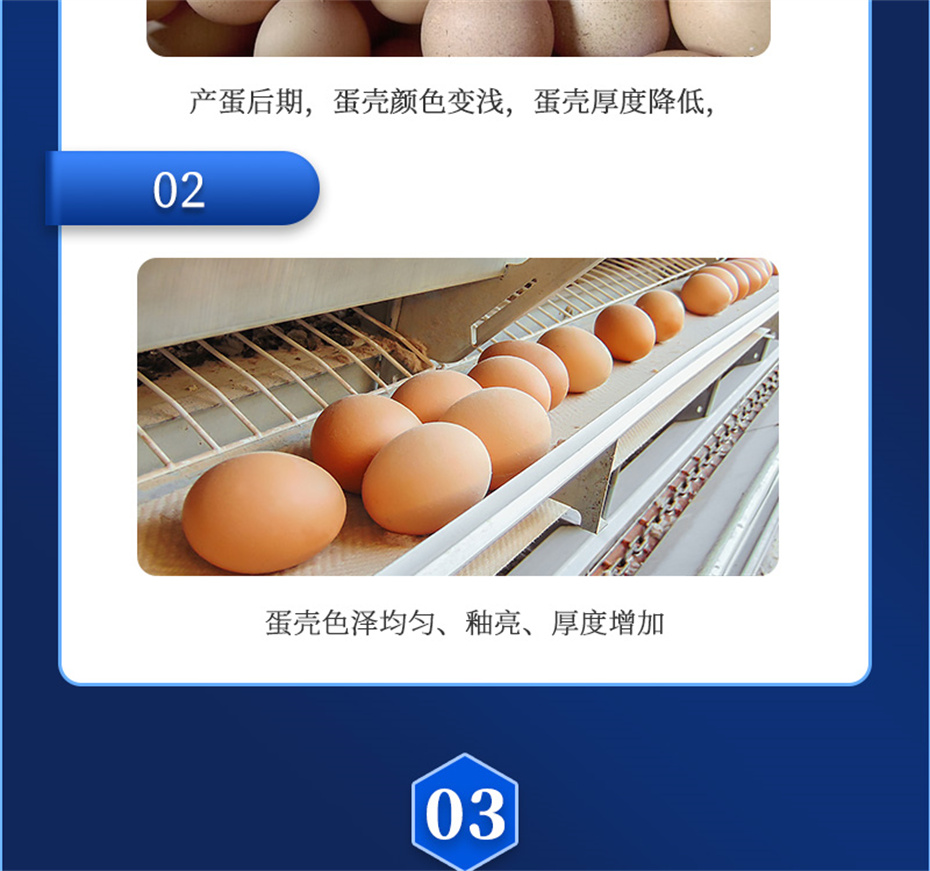 pp����ģ���������������������Ӽ�ǿ�Ǳ���Ʒ����