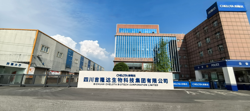 ��˾����