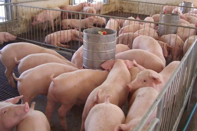 �������Ӽ��ĺô�