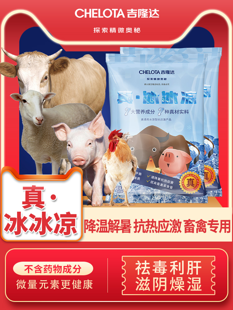 pp����ģ���������桤������