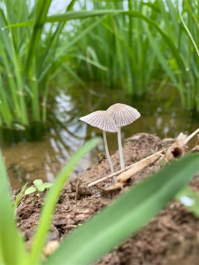 pp����ģ����������Ӱ������Ʒ�����¡�