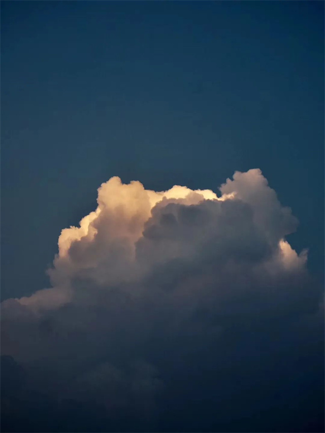 pp����ģ����������Ӱ������Ʒ���Ķ���