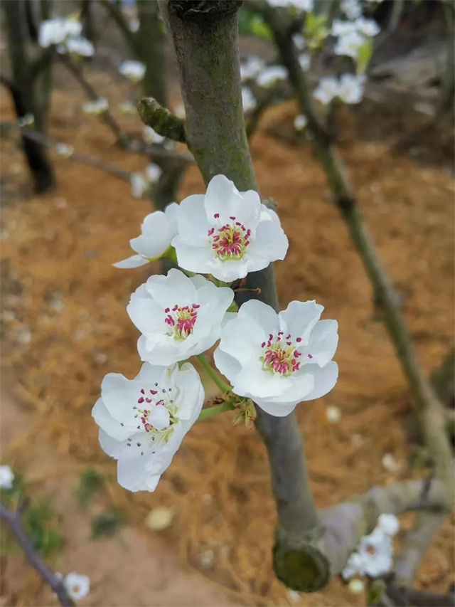 pp����ģ����������Ӱ������Ʒ���Ķ�˲�䡷