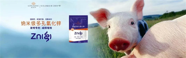 pp����ģ���������������п