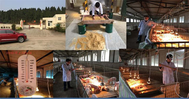 pp����ģ������������������к��������