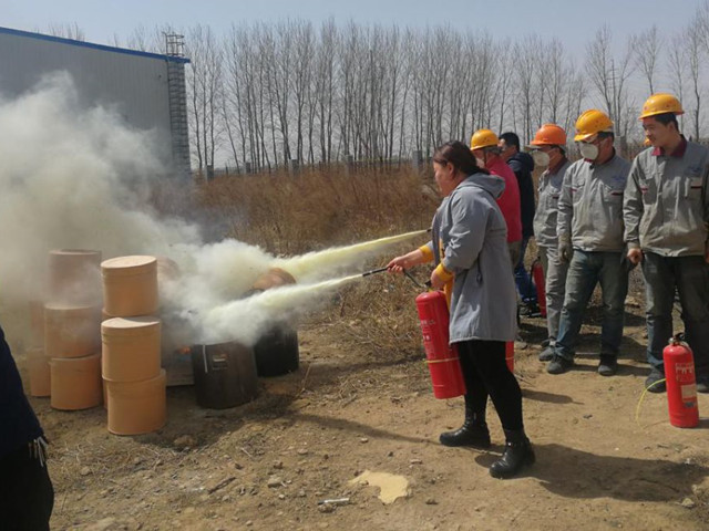 pp����ģ����������ȫ������ѵ����������