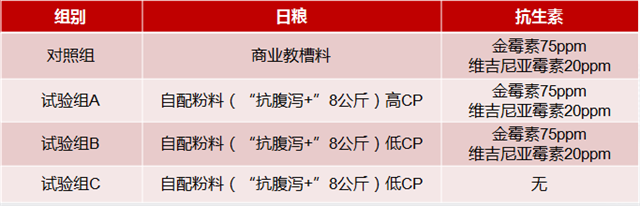 pp����ģ������������������к��������