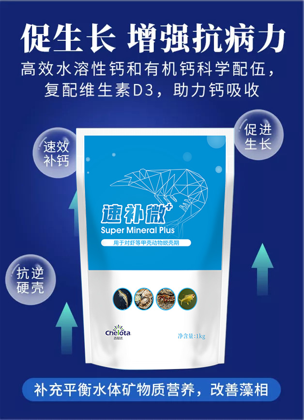 pp����ģ���������ٲ�΢+