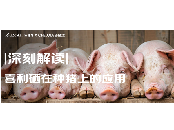 ��̽�� | ϲ�����������ϵ�Ӧ��