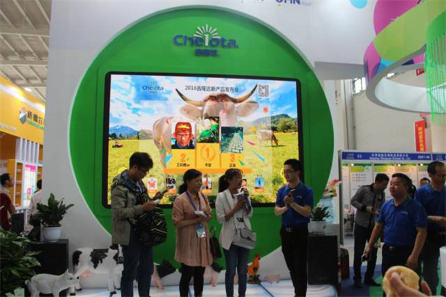 pp����ģ����������չ�й�����������