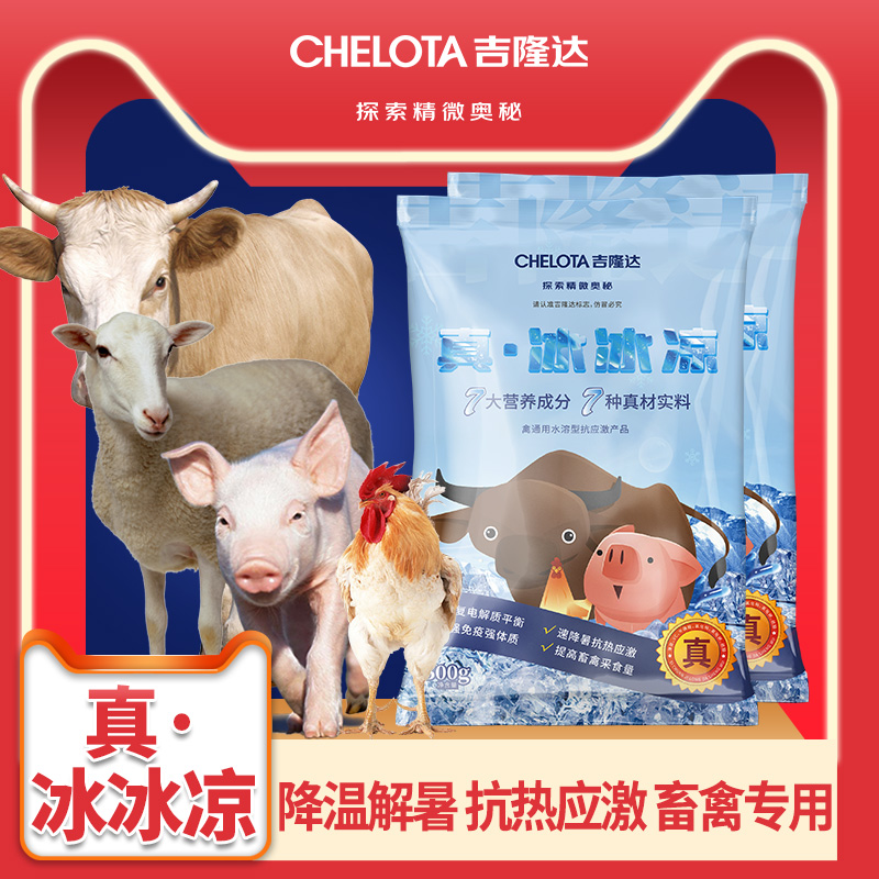 �������Ӽ��桤������