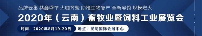 2020������ҵչ����