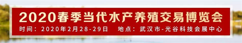 2020������ҵչ����