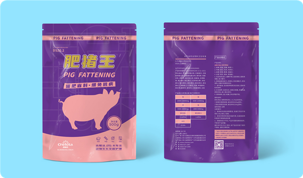 pp����ģ��������������