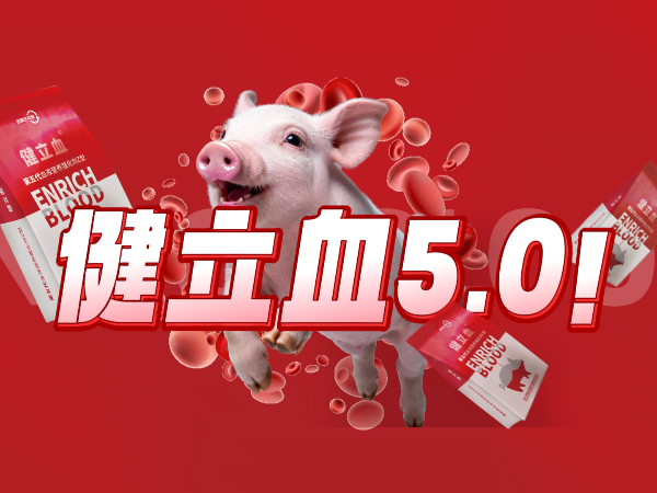 pp����ģ��������������������ͽ���Ѫ�ذ��ǳ���