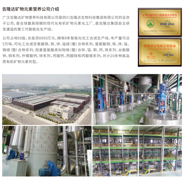 pp����ģ����������̬