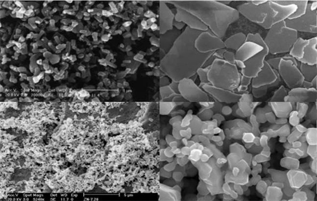 ����п-pp����ģ������������п