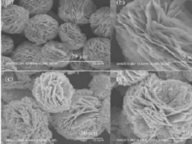 pp����ģ������������п