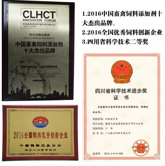 pp����ģ���������������Ӽ�