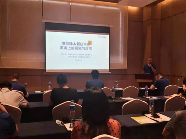 pp����ģ��������̽����΢���ؼ���������