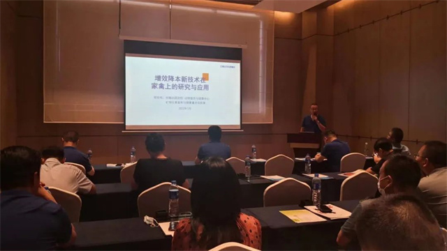 pp����ģ��������̽����΢���ؼ���������