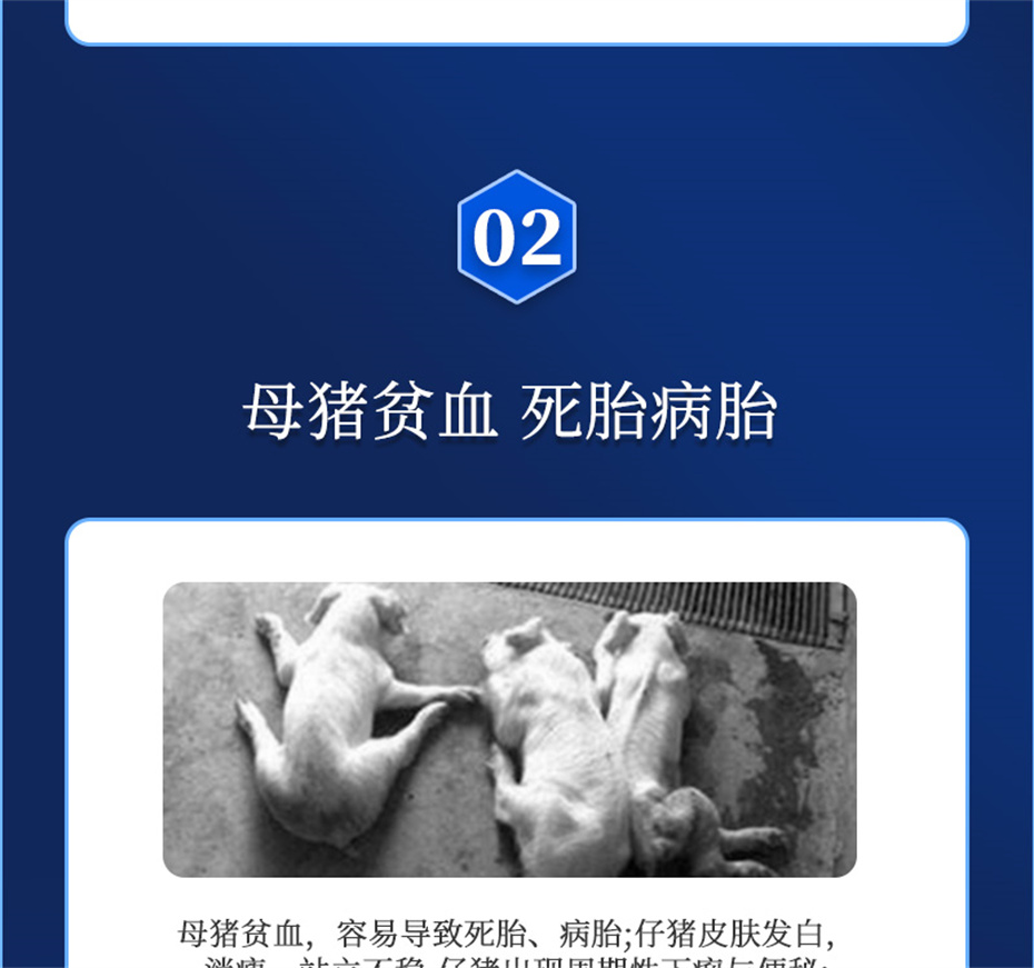 pp����ģ���������������������Ӽ�����Ѫ��Ʒ����