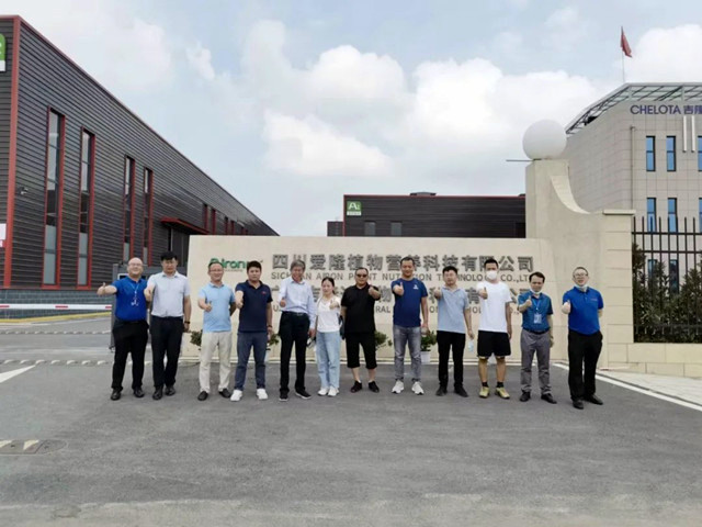 pp����ģ��������