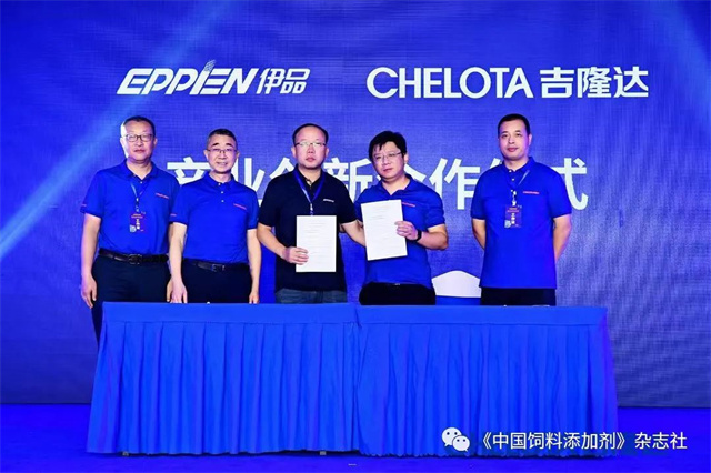 pp����ģ���������о�Ժ������ʽ