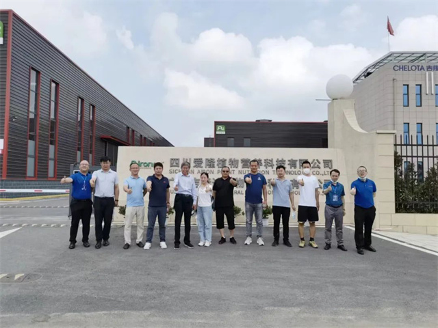 pp����ģ��������