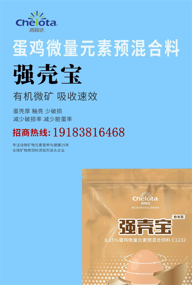 �л�΢������pp����ģ���������������Ӽ�����