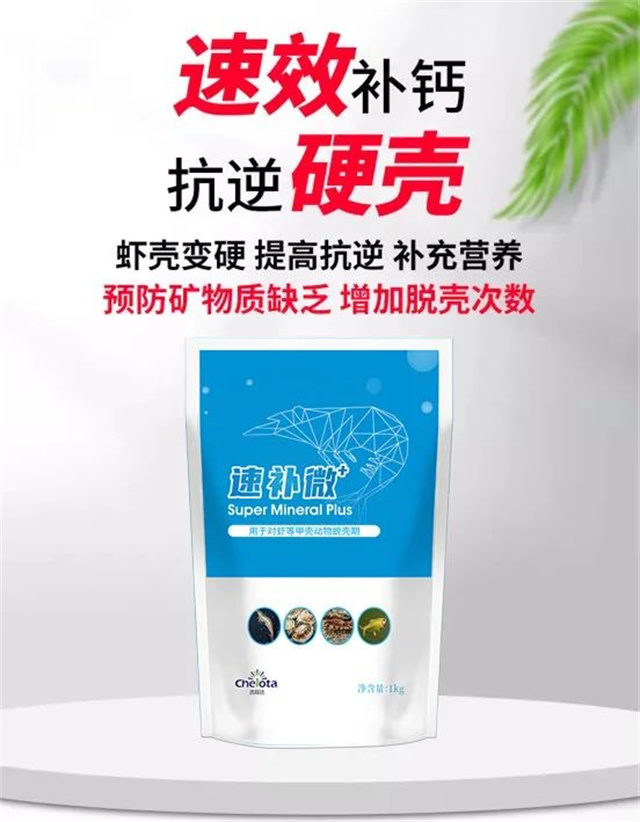 pp����ģ���������������Ӽ��ٲ�΢+