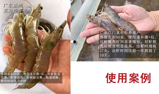 �ٲ�΢+����