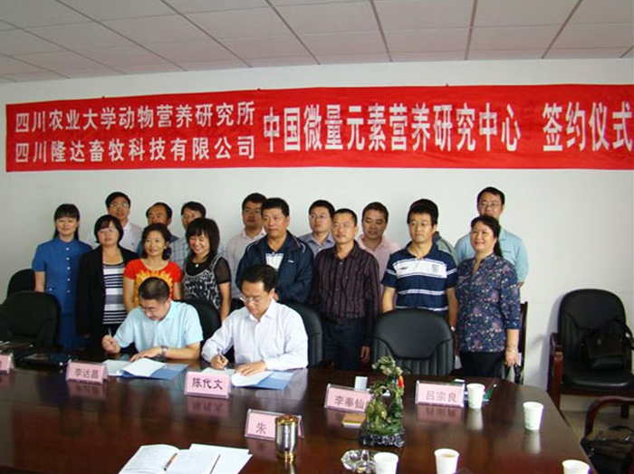 pp����ģ��������